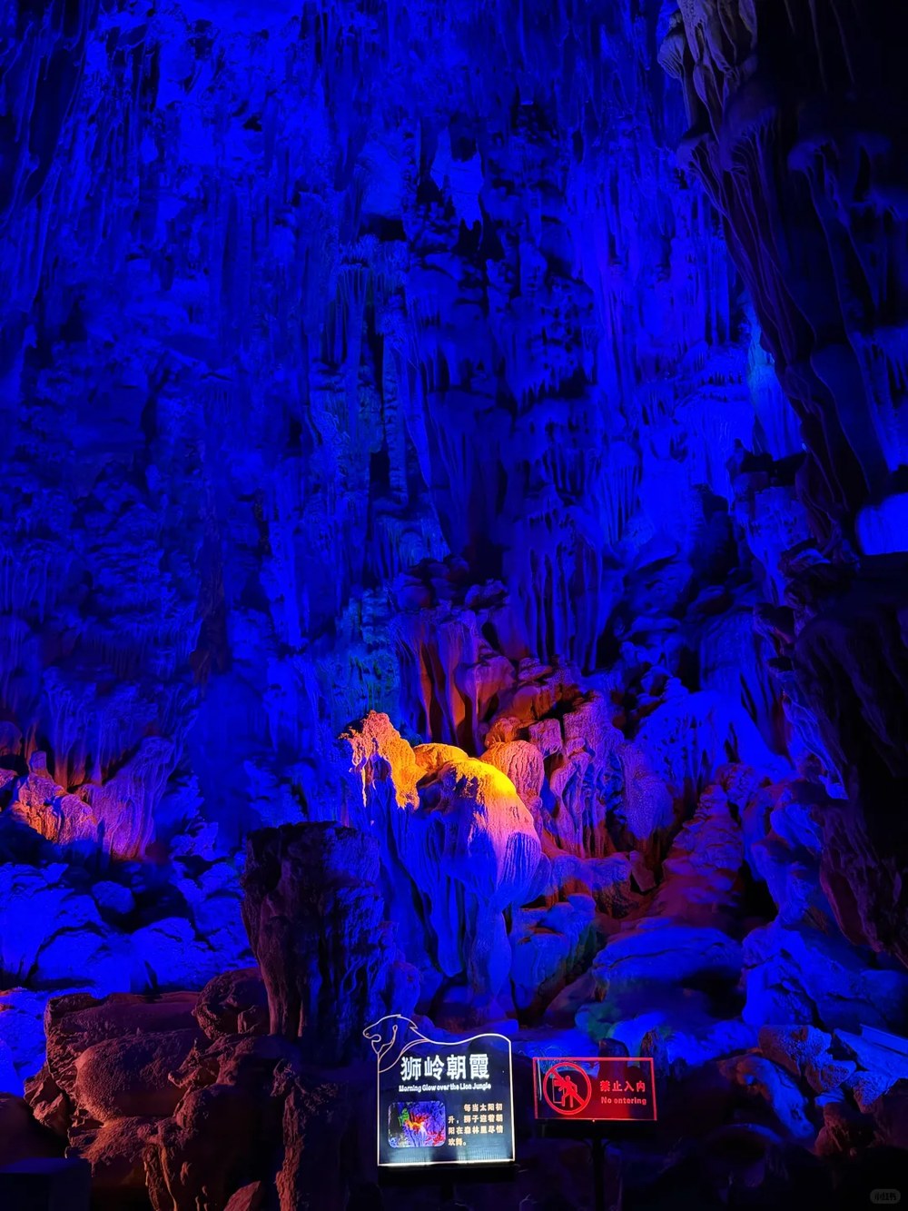 Formation rocheuse évoquant un lion dans la Grotte de la Flûte de Roseau